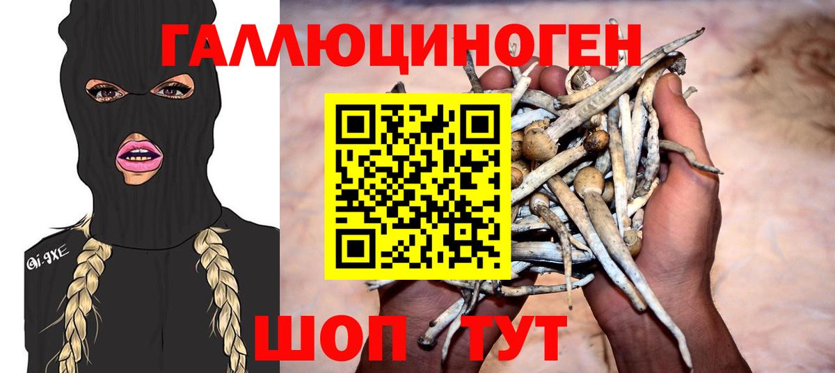 Галлюциногенные грибы Psilocybine cubensis  Галлюциногенные грибы Psilocybe  Тамбов  Вход с VPN 