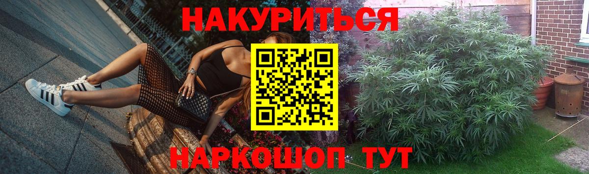 Бошки Шишки конопля Тамбов